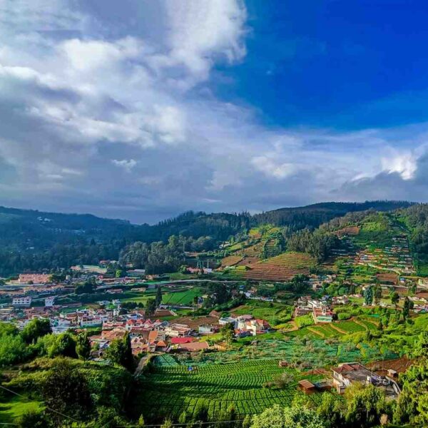 Ooty
